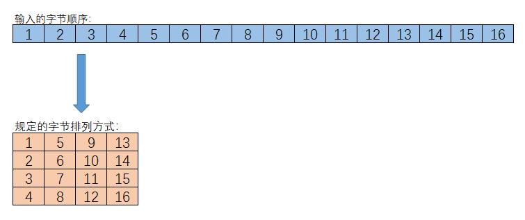 字节排列