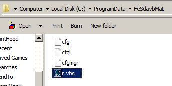 VB script inside the directory created by the malware