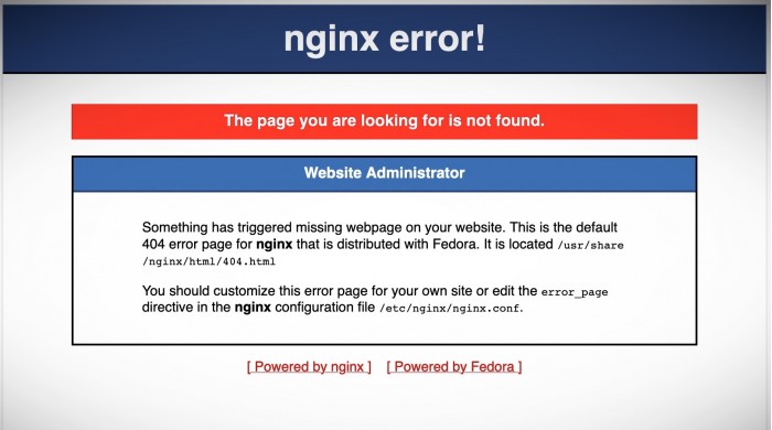 nginx-revil.jpg