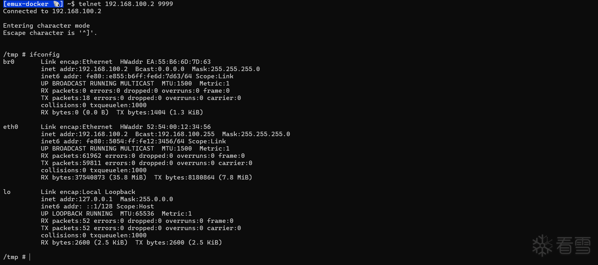 Remote Command Injection