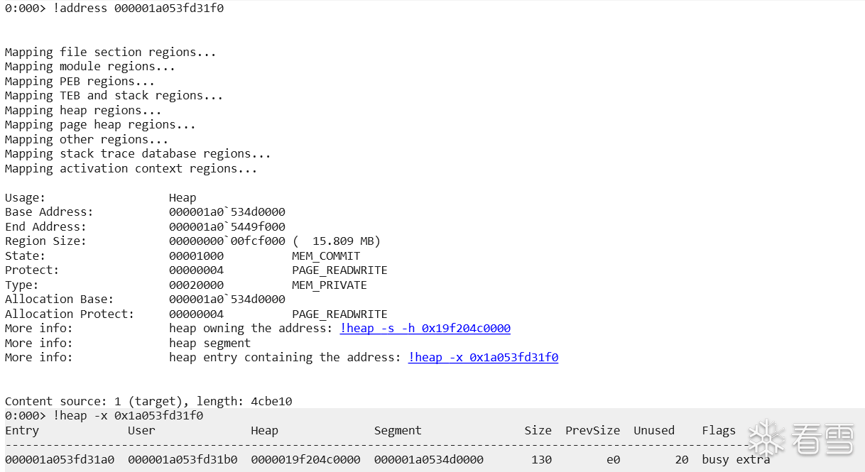 view-heap-address-info