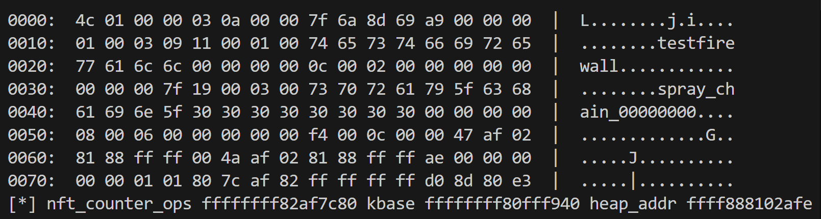 nft_expr 内存结构