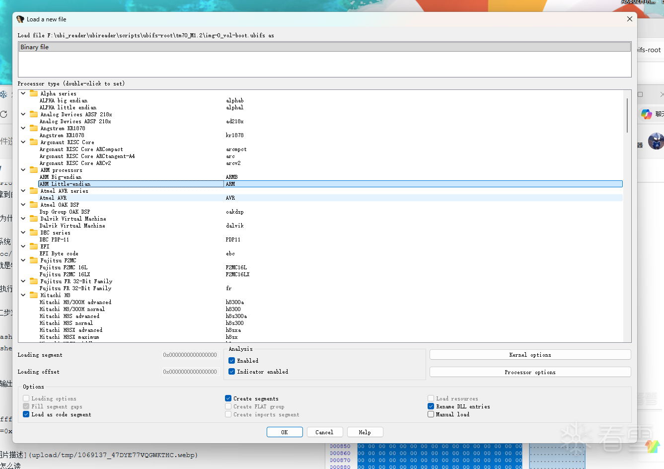 IDA Pro 加载设置
