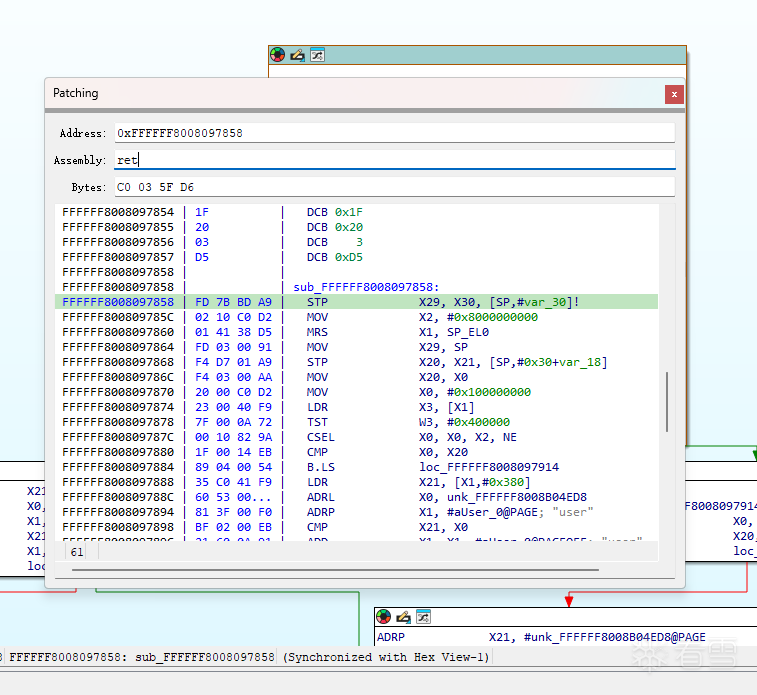 IDA Pro 中的函数入口地址