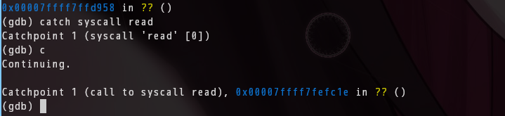 catch syscall read 断在 read 系统调用